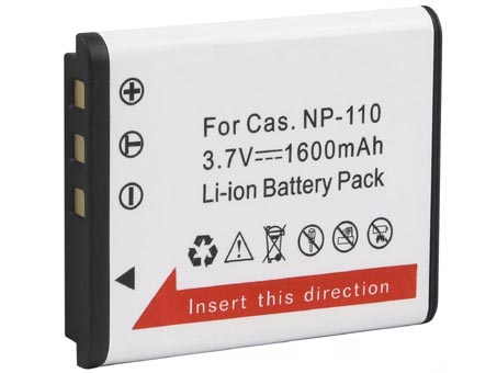 photo of CASIO NP-110L camera battery