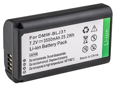 PANASONIC DC-S1HBODY battery replacement